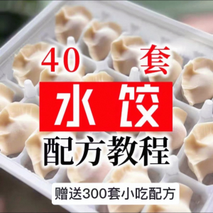 【0.01秒发】40套水饺技术配方 特制技术视频教程-淘宝虚拟库