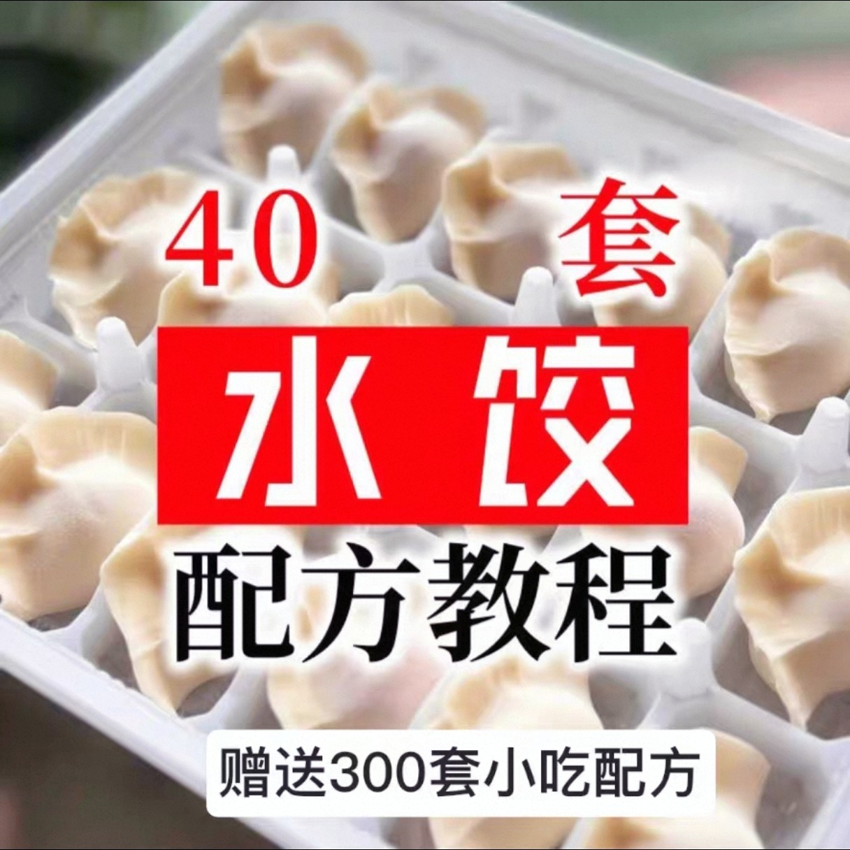 【0.01秒发】40套水饺技术配方 特制技术视频教程-淘宝虚拟库