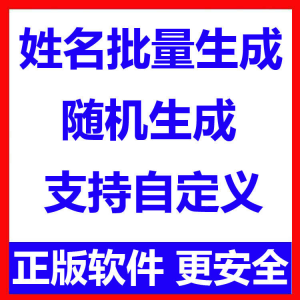 姓名批量生成工具 用户名随机不重复生成软件 可自定义-淘宝虚拟库