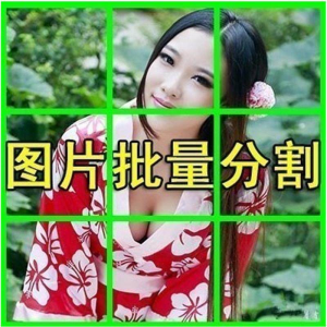 图片批量切割软件 图片批量分割工具 批量切图器 图片批量裁剪-淘宝虚拟库