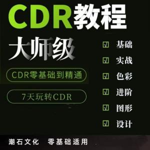 cdr教程视频Coreldraw自学平面设计广告排版零基础入门学习课程-淘宝虚拟库