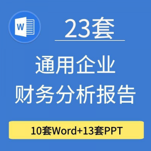 23套通用企业公司年度财务分析报告word电子文档模板PPT演示-淘宝虚拟库