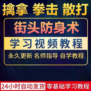街头防身术擒拿拳击散打视频教程全套入门自学零基础学习教程视频-淘宝虚拟库