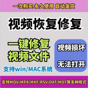 损坏MP4视频修复软件断电恢复工具短片导出摄像机视频文件修复-淘宝虚拟库