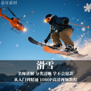 单板双板滑雪教程视频教学成人全套入门自学零基础学习视频教程-淘宝虚拟库