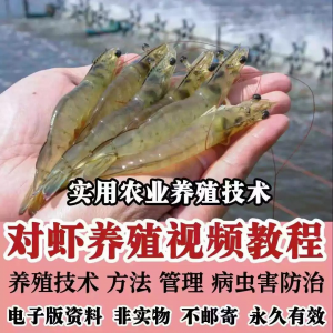 对虾养殖技术视频教学教程水质管理日常养护疾病防治南美白素材-淘宝虚拟库