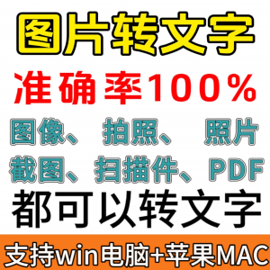 图像图片照片拍照扫描件格式转文字采集转换word转成ppt提取excel-淘宝虚拟库