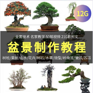 盆景制作技术视频教程工艺教学果树桩山水微型造型全套-淘宝虚拟库