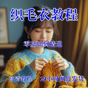 手工织毛衣视频零基础传统棒针钩针毛线编织婴儿童全套-淘宝虚拟库