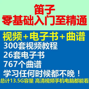 竹笛初学者曲谱入门课程笛零基础视频教学自零基础演奏电子版吹笛-淘宝虚拟库