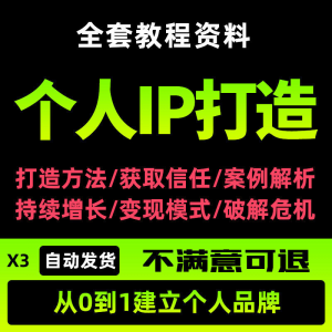 个人IP打造教程如何快速打造个人IP社交品牌定位训练营资料大全新-淘宝虚拟库