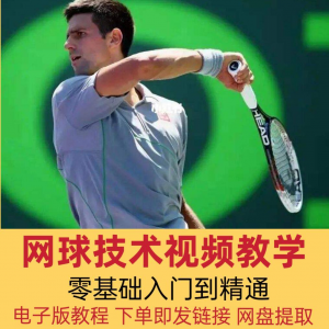 网球技术教程视频基本动作分解教学零基础入门自学到精通电子版课-淘宝虚拟库