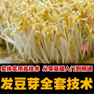 自学发豆芽技术资料豆芽加工制作方法教学 培育豆芽商用视频教程-淘宝虚拟库