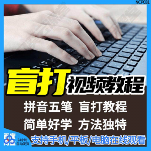 盲打不看键盘打字视频教学网课指法纠正零基础普通键盘私教版资料-淘宝虚拟库