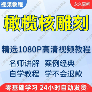 橄榄核雕刻视频学习教程新手自学零基础入门精通教学课程全集-淘宝虚拟库