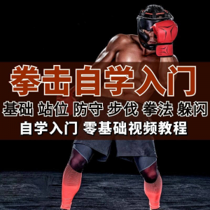 全套拳击指导视频教程自学零基础小白入门自卫搏击格斗防护资料-淘宝虚拟库
